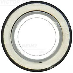 Wellendichtring, Kurbelwelle REINZ 81-10559-00