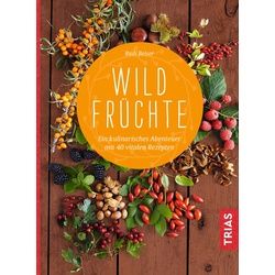 Wildfrüchte Buch 1 St