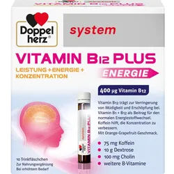 Doppelherz Vitamin B12 Plus System 250 ML