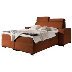 BOXBETT Nestor Dress Me Set.2