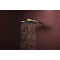 Hansgrohe Raindance Alive S Kopfbrause 300 1 Strahlart wassersparend - brushed bronze