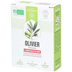 Dayang Olivier BIO