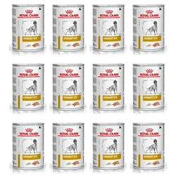 ROYAL CANIN Urinary S/O 48x410g