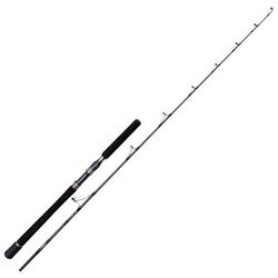 Penn Fishing Spinnrute, (1-tlg)