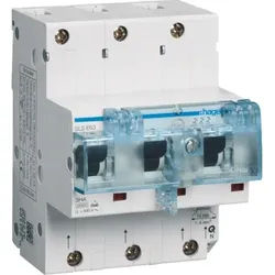 Hager SLS-Schalter, E, 3p, DIN-Schiene, 63A, 230V, 690V/Ui, 25kA, 6kV, Gr:2, IP2X, HTN363E