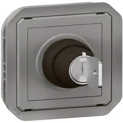 Legrand 069534L Plexo New Einsatz RONIS Schlüsselschalter 2 Positionen, grau