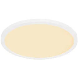 Deckenlampe Wohnzimmerstrahler Esstischleuchte Memoryfunktion IP44 LED 24W weiß opal, rund, 1x LED 24W 2300lm 3000K warmweiß, DxH 42x2,5 cm
