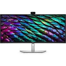 Dell Pro P3426WEB 34 Zoll UWQHD Curved IPS LED 21:9 60 Hz USB-C-Hub Monitor Webcam
