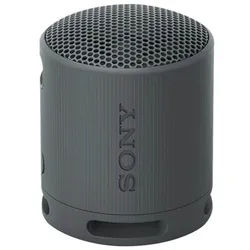SRS-XB100 - Portable speaker - Black