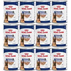 ROYAL CANIN® Maxi Ageing 5+ 12x410g Nassfutter , Pastete für Hunde ab 5 Jahren, große Rassen