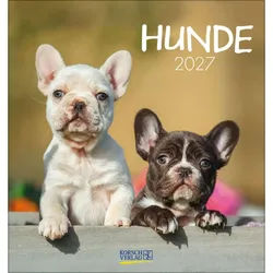 Korsch Verlag Wandkalender Hunde 2027