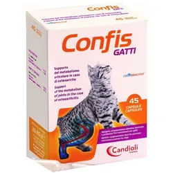 Konfis-Katzen 45Cps