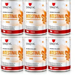 Disugual Veterinary Nassfutter für Hunde INTESTINAL Rind (Erwachsene) 6x400g