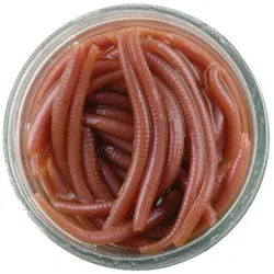 Berkley Kunstköder Berkley GULP! ALIVE!® ANGLE WORM