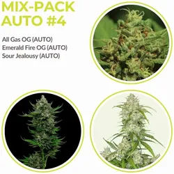 Mix Pack Automatik 4 | 9 Samen