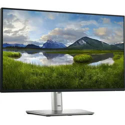 Dell Dell P2425H LCD-Monitor schwarz