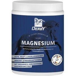 Derby Magnesium Pulver 1 kg