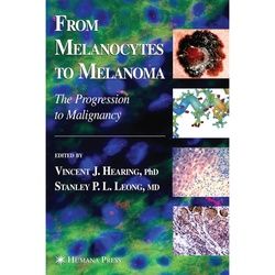 From Melanocytes To Melanoma, Kartoniert (TB)