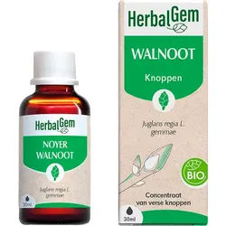 Herbalgem Walnussbaum Konzentriertes Muttermazerat Bio 30ml
