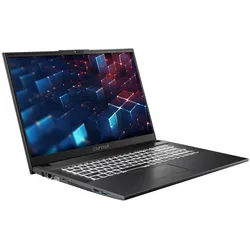 CAPTIVA Business/Office I10-1420GE Notebook (43.9 cm/17.3 Zoll, INTEL Core i5 1335U, Intel Iris Xe Graphics, 32 GB, 500 GB SSD, WLAN & Bluetooth, Tastatur: DE Layout, Windows 11 Home) bunt|silberfarben