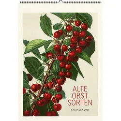 Wandkalender Alte Obstsorten. Wandkalender 2026