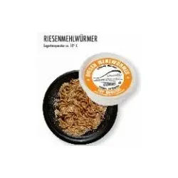 Riesenmehlwürmer lebend 30g Angelköder lebend