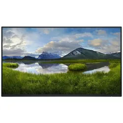 Dell TFT P2425HE 23.8IN WITHOUTSTAND 1920X1080 16:9 DP HDMI USBC RJ45 TFT-Monitor (1920 x 1080 px, Full HD, 8 ms Reaktionszeit, 100 Hz, IPS, HDCP) schwarz