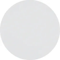 Berker R.1/R.3/Serie 1930/R.classic Funktaste 1fach, polarweiss glänzend