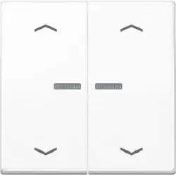 Jung HOME Taster 2fach Peilsymbole Serie AS Alpinweiß, Duroplast BTAS17102PWW