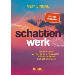 Schattenwerk Buch 1 St