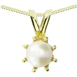 OSTSEE-SCHMUCK Kette mit Anhänger Ostsee-Schmuck Kette mit Anhänger Ilke Kette mit Anhänger Ilke (2-tlg) goldfarben 42 cm