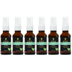Bee&You Propolis Tinktur, Spray mit Menthol & Honig, Mundspray, Halsspray 6x30 ml