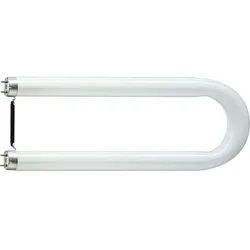 TL-D U 36W 840 T8 U-Röhre Philips