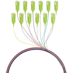 EFB O3326.2OM5 - Faserpigtail SC, 12 Pigtails, OM5, 2 m