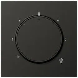 Jung Abdeckung für Thermostat (Anthrazit)