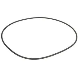 Getriebedichtung ZF 0634313796ZF