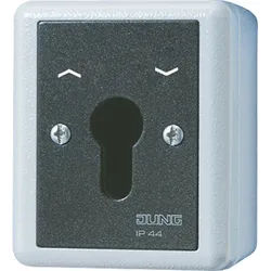 Jung Schlüsselschalter 804.28 G 804.28G