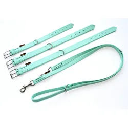 HEIM Hunde-Halsband Halsband + Führleine "Colour" mint, verschiedene Breiten und Längen grün 1.4 cm x 220 cm