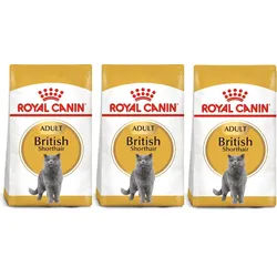 ROYAL CANIN British Shorthair 3x10kg