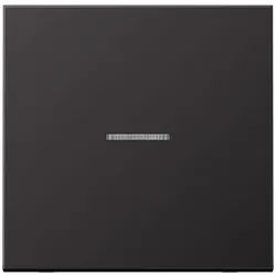 JUNG HOME Taster 1fach, Aluminium lackiert, Serie LS, dark