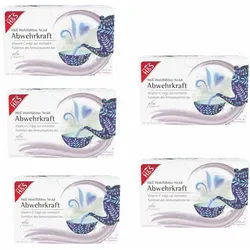 H&S Wohlfühltee Abwehrkraft mit Vitamin C 5er Set 5X20X1,8 g Filterbeutel