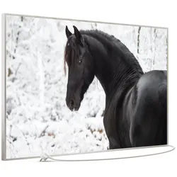STEINFELD Heizsysteme Infrarotheizung Bild 900W, 120x74cm, Made in Germany, 7J Garantie, mit Thermostat, viele Motive silberfarben