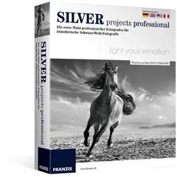 Silver projects professional