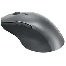 Lenovo Professional Bluetooth-Maus, wiederaufladbar, Storm Grey