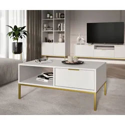 Raumhirsch Furniture Couchtisch Austin 80x60x45 cm, 100x60x45 cm (Einzelmöbel, Couchtisch mit 1 Ablage und 1 seitlicher Schublade), modernes Design, stabil & funktional, vielseitig einsetzbar 60 cm x 45 cm x 80 cm