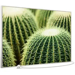 STEINFELD Heizsysteme Infrarotheizung Bild 900W, 120x74cm, Made in Germany, 7J Garantie, mit Thermostat, viele Motive silberfarben