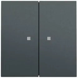 Gira 363173 Wippe 2-fach mit Kontrollfenster, System 70, anthrazit (lackiert)