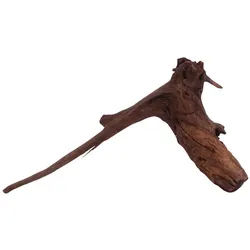 Aquaone Aquarium L Driftwood Flußwurzel Nr.3876 Holz Deko Aquascaping