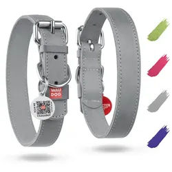 WAUDOG Hunde-Halsband Lederhalsband Halsband verstellbar, Leder, für große und mittelgroße Hunde grau 2 cm x 30 cm - 39 cm