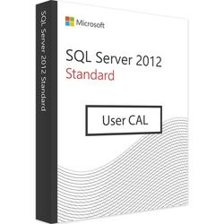 Microsoft SQL Server 2012 | 25 User CALs | Blitzversand